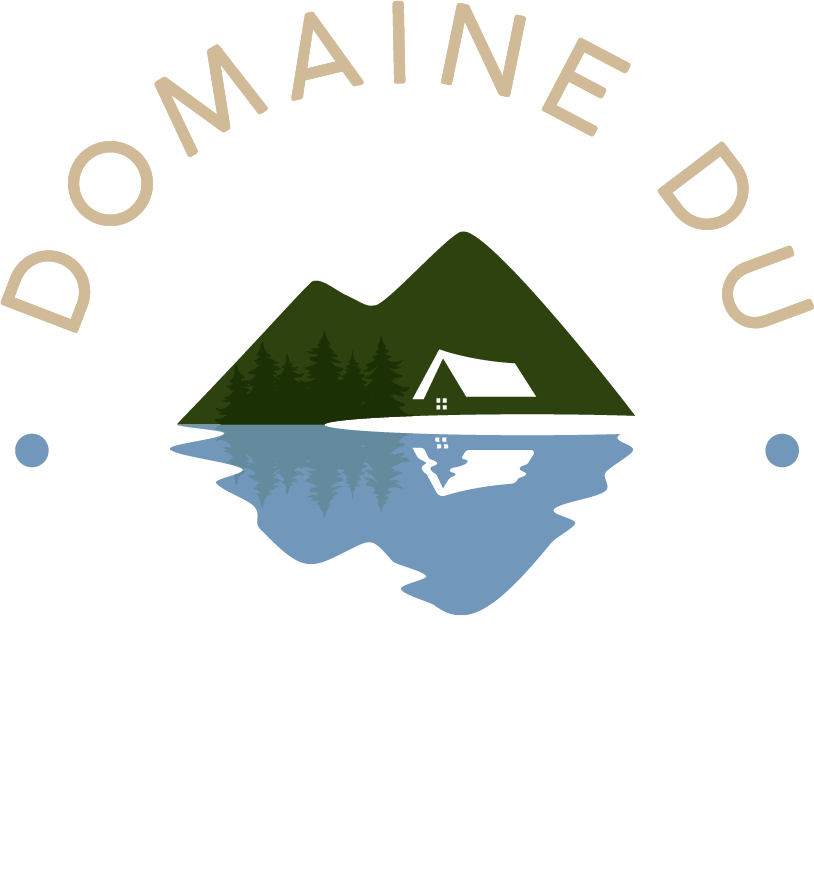 Logo Domaine du Lac Croche, terrains à vendre à Sainte-Thècle